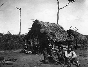 Экспедиция в Южную Америку. 1914–1915 годы