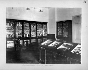 Зоологический кабинет. 1899 год