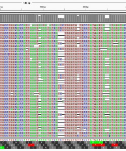 Результатом секвенирования геномов является огромный массив неструктури- рованных данных, анализ которых представляет не менее комплексную задачу. Поиск значимых мутаций и полиморфизмов в масштабах всего генома и их по- следующая клиническая интерпретация является целью нашего проекта.