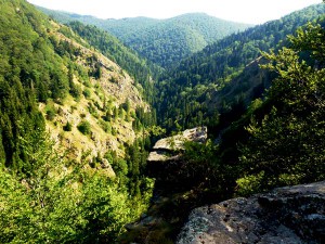 Живописное ущелье «Стена» в Национальном парке «Центральный Балкан»