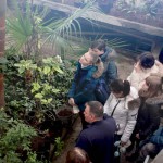 Экскурсия в оранжерее Ботанического сада СПбГУ